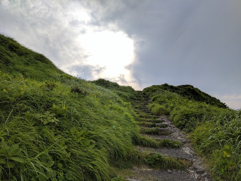 Travels on Hachijo-jima